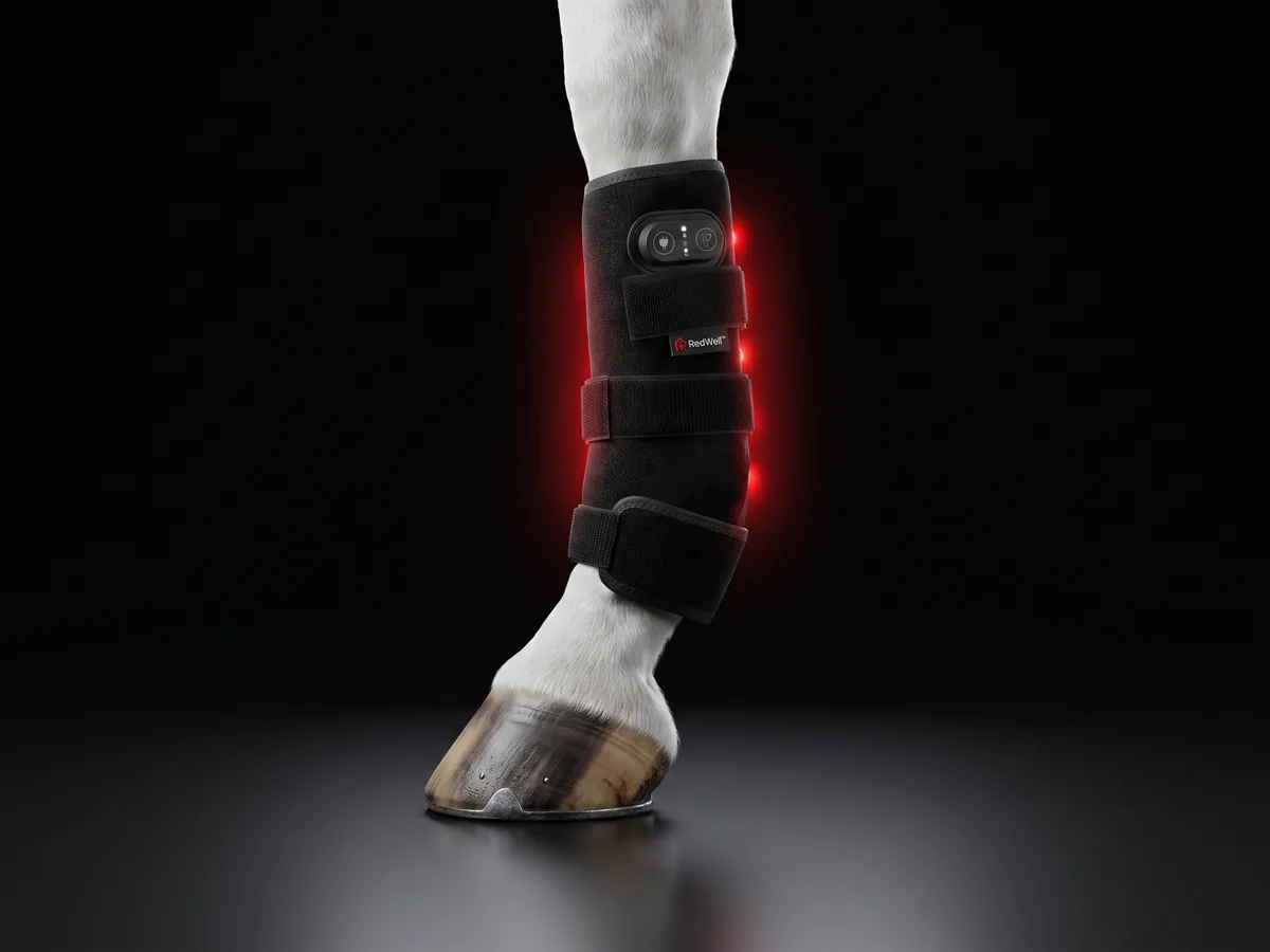 RedWell™ Equine Tendon Wrap